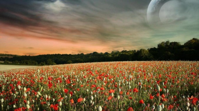 PHP和Node.js哪个更爽?